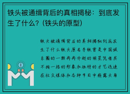 铁头被通缉背后的真相揭秘：到底发生了什么？(铁头的原型)